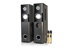 Cặp loa tháp Mozard M101 Đen 80W